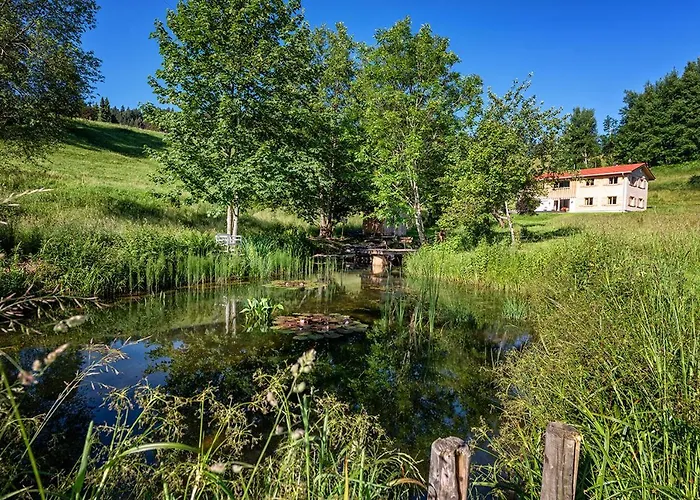 Lohansler Huette * Oberstaufen